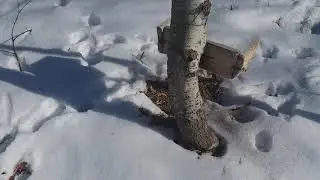 4 февраля 2020 г.