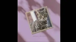 [juno x heylog] Hyperpop Type Beat - 