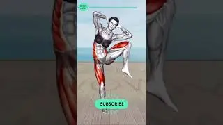 ➜ REDUCE Your 'DONUT BELLY' in Just 5 Weeks ➜ 30 minute STANDING Workout Exercises #21