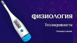 Физиология | Терморегуляция