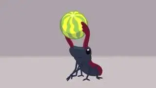 Beetle Animation with ToonBoom WIP