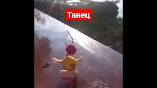 Соблазнительный танец приманки) Сазан будет в ШОКЕ)