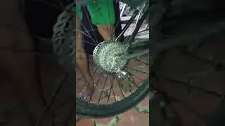 Bike Check  haahha Carbon Rd HAAH