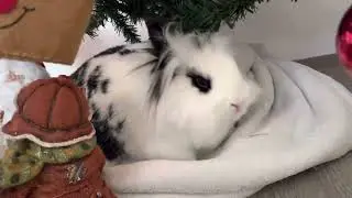 С НОВЫМ ГОДОМ!!!!!🍾🎉🎄🎁🎊