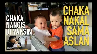 CHAKA NAKAL SAMA ASLAN | CHAKA NANGIS DI VAKSIN