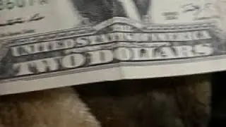 two dollar american bill