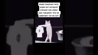 Когда кот работает за еду 