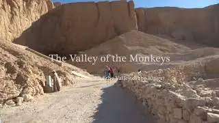 The Valley of the Monkeys