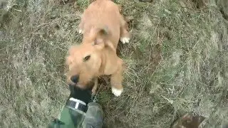 Тимка навернулся! ;)
