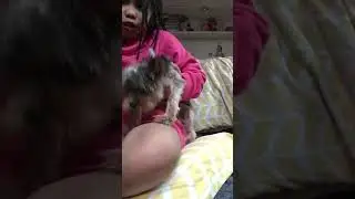 Meet my puppy Prince