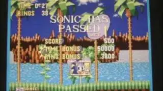 Sonic 1 Jurassic Junkie Challenge