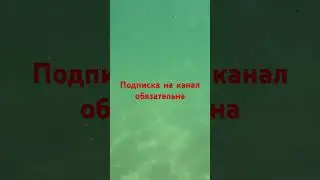 #погружения