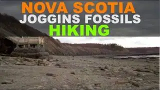 Joggins Fossil Cliffs - Hiking in Nova Scotia