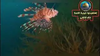 شرح كتاب التبيان فى آداب حملة القرآن للنووى رحمه الله//الدرس السادس