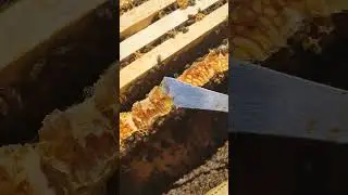 Возвратные холода 