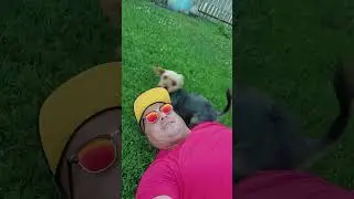 собака по имени заеб...)