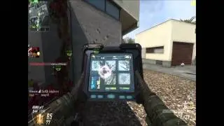 Ballista OWNAGE on Raid