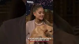 Fun facts about #ArianaGrande that every #fan of the singer should know #shorts