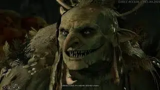 Baldur's gate 3 Walkthrough part 11 Character creation, quests and solutions