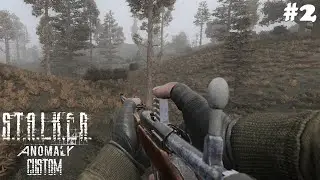 ПРИХАБАРИЛСЯ НА КОРДОНЕ - STALKER ANOMALY CUSTOM #2