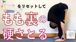 【もも裏硬い】ハムストリングスのストレッチ５つの組み合わせ・まとめ