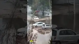 Un 'súper vocho' mostró su poder tras las intensa lluvia en la zona metropolitana de #Pachuca 🚗