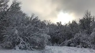 зимняя сказка