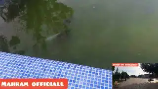 Xovuzdagi rangli BALIQLAR