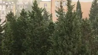 Дождик - Осень