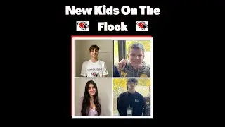 New Kids on the Flock