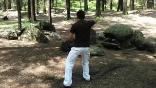 Sesion de Tai Chi