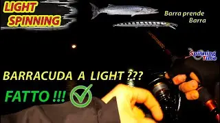LIGHT SPINNING - BARRACUDA A LIGHT??? FATTO!!!