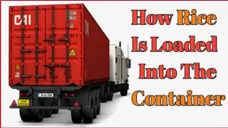 Container में चावल के कट्टे कैसे लोड किए जाते हैं | Export Rice Loading | How is rice exported !