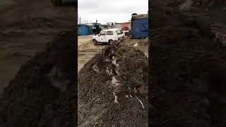 последние минуты Нивы #4kstatus #automobile #offroad #восстановление #snow #4на4 #прикол #ниваурбан