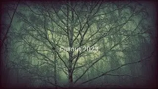 ФОЛЛАУТ