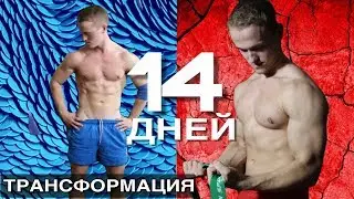 Три элемента, за 14 дней. Трансформация
