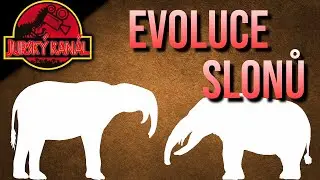 Evoluce SLONŮ | Jurský Kanál