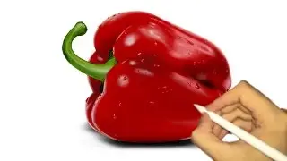 Procreate iPad Pro paprika tutorial drawing photorealstic (deutsch)