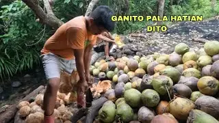 GANITO PALA HATIAN