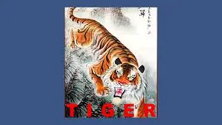 FREE HI HAT MIDI KIT - Tiger (PYREX WHIPPA, WHEEZY, SOUTHSIDE)