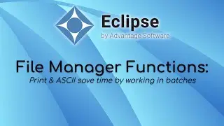 File Manager Functions: Print & Ascii
