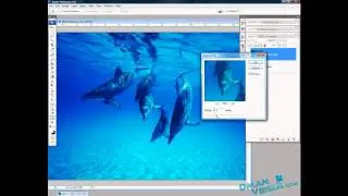 Photoshop | Applying a Soft/Smooth Light Effect