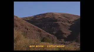Ann Annie // Cottonwood (Official Visualizer)