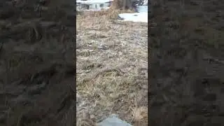 сделали место, для отдыха в лесу.