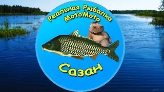 Как поймать Сазана на Рыбхозе [NEW] | Реальная Рыбалка