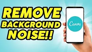 How To Remove Background Noise In Canva - 2024