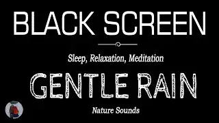 Gentle Rain Sounds for Deep Sleeping Black Screen | Rain to Relaxation, Meditation