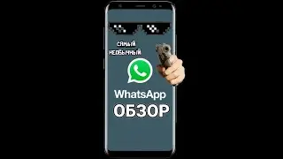 САМЫЙ НЕОБЫЧНЫЙ ОБЗОР НА WhatsApp