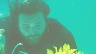 Stay Outside - No Tie (Official Music Video)