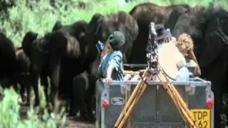 Iain Douglas-Hamilton, Saving Elephants